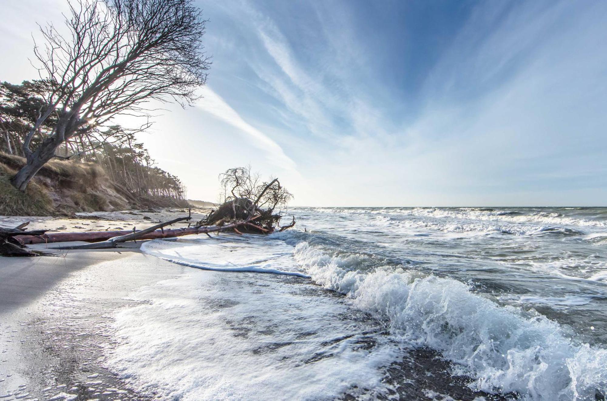 Leuchtturm An Der Seebruecke ซิงสท์ ภายนอก รูปภาพ